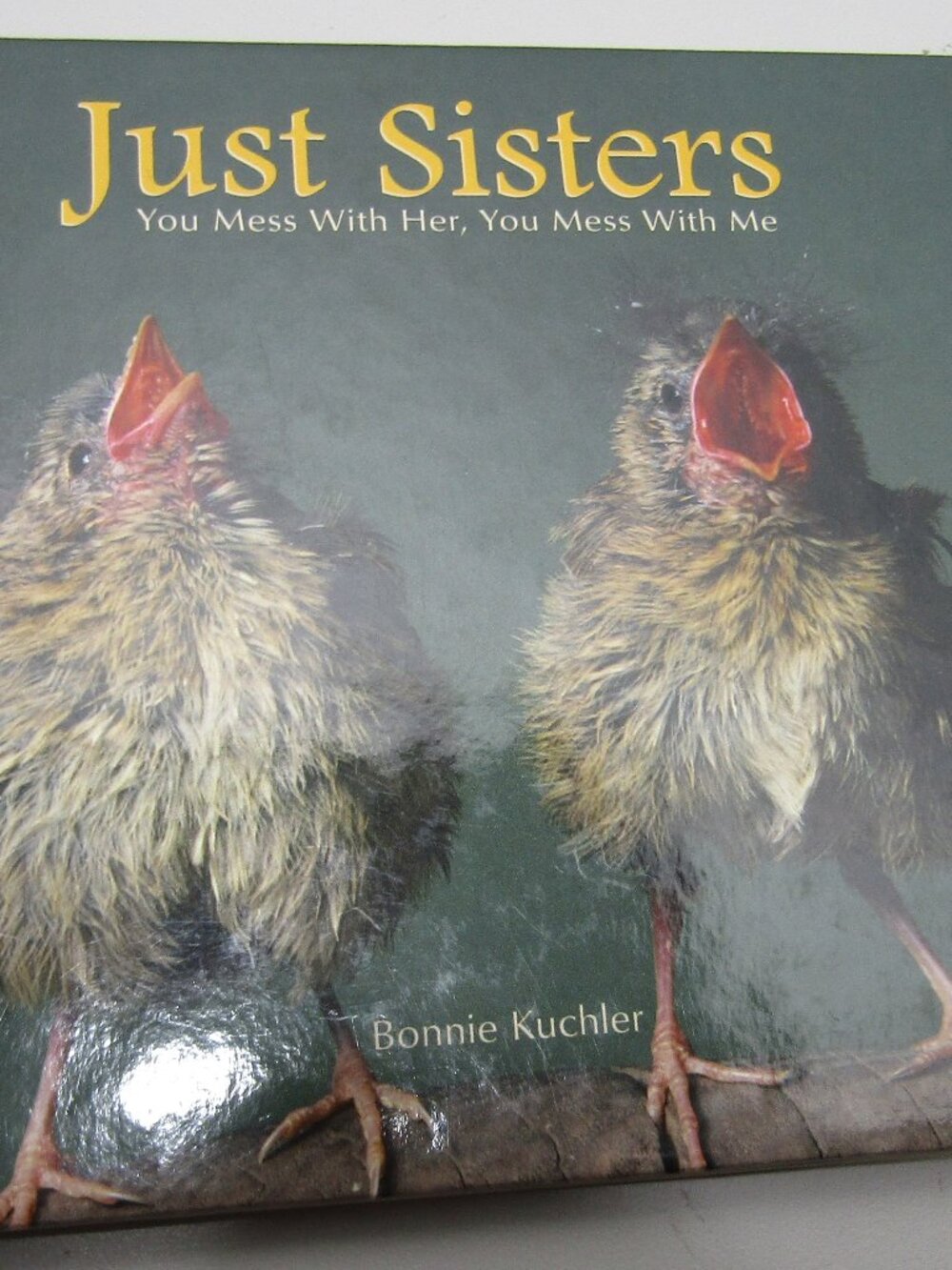 Just Sisters: You Mess with Her, You Mess with Me by Bonnie Louise Kuchler: New